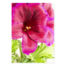 blossoming flower business card template