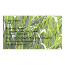 Blossoming Red and Yellow flower Business Card Template