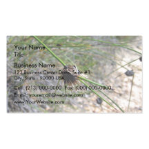 Blossoming spikey plant business card templates