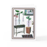 Blossoming Woodwinds Cards
