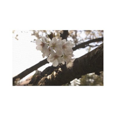Blossoms by NailkitaDesigns