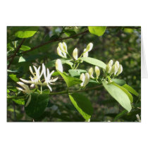 Blossoms in spring light greeting card