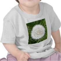 blow bull tshirt