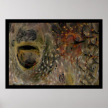 Blowfish Incident Print