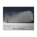 blowing in the wind postcards
