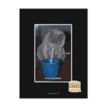 Blows Bubbles in ur milk Post Cards