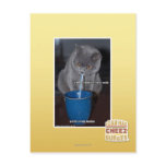 Blows Bubbles in ur milk Postcards