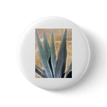 Blue Agave 1 Glow
