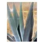 Blue Agave 1 Glow Post Cards