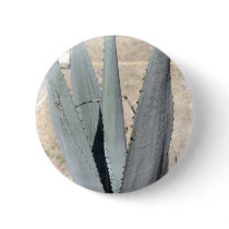 Blue Agave