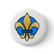 Blue and Gold Fleur De Lis