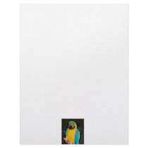 Blue and gold macaw against dark background letterhead design