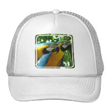 Blue and Gold Macaw Baseball Hat