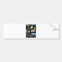 blue and gold macaw bumper sticker