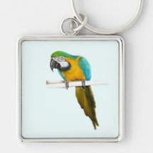 Blue and gold macaw key chains