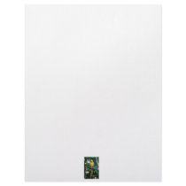 Blue and Gold macaw parrot against green trees Letterhead Design