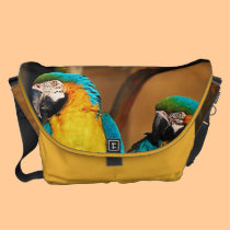 Blue and gold macaw parrots messenger bags