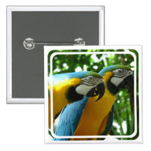 Blue and Gold Macaw Pin