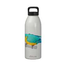 Blue and Gold Macaw Water Bottle