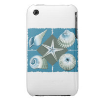 Blue and Green Sea Shells