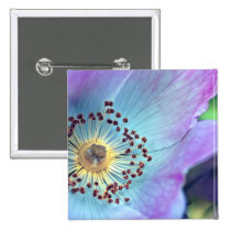 Blue and Purple Wild Rose buttons