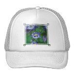 Blue and White Columbine Flowers  Baseball Hat
