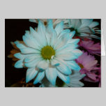 Blue and White Daisy Birthday card cards