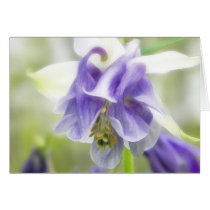 Blue And White Frilly Columbine Card