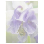 Blue And White Frilly Columbine Custom Letterhead
