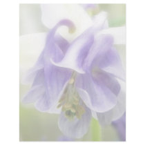 Blue And White Frilly Columbine Custom Letterhead