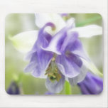 Blue And White Frilly Columbine Mousepad