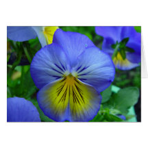 Blue and Yellow Flower Greeting Card
