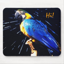 Blue and yellow  Parrot   Mousepad
