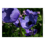 Blue Anemones Greeting Card