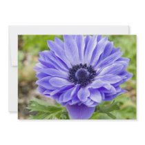 Blue Aster Flower Invitation