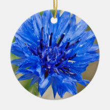 Blue Bachelor Button Ornament