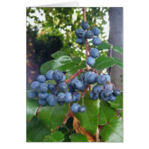 Blue Barry Card