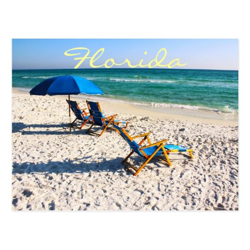 Blue beach chairs in florida post cards