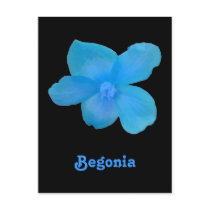 Blue Begonia Customizable Postcard