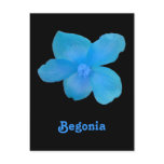 Blue Begonia Customizable Postcard