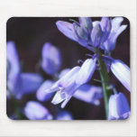 Blue Bell Flowers  Mouse Pad