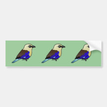 Blue-bellied Roller Bumper Sticker