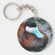 Blue Billed Duck Keychain