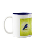 blue bird taza