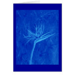 Blue Bird of Paradise
