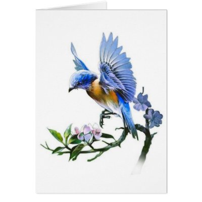 blue bird on branch card by Ceyzpurplestang