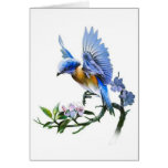 blue bird on branch cards