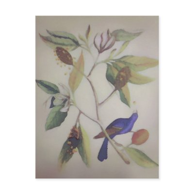 Blue Bird ~ Postcard / Invitation by galleriaofart