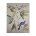 Blue Bird ~ Postcard / Invitation