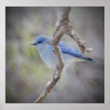 Blue Bird Poster